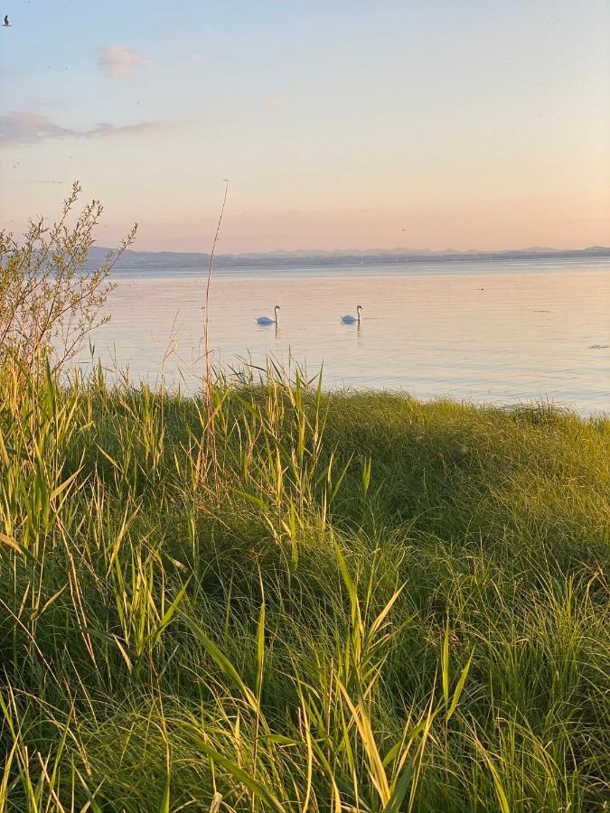 Haus Felchen - Apartment 4 - Sandmuschel - Mit Priv Strandzugang Friedrichshafen Esterno foto